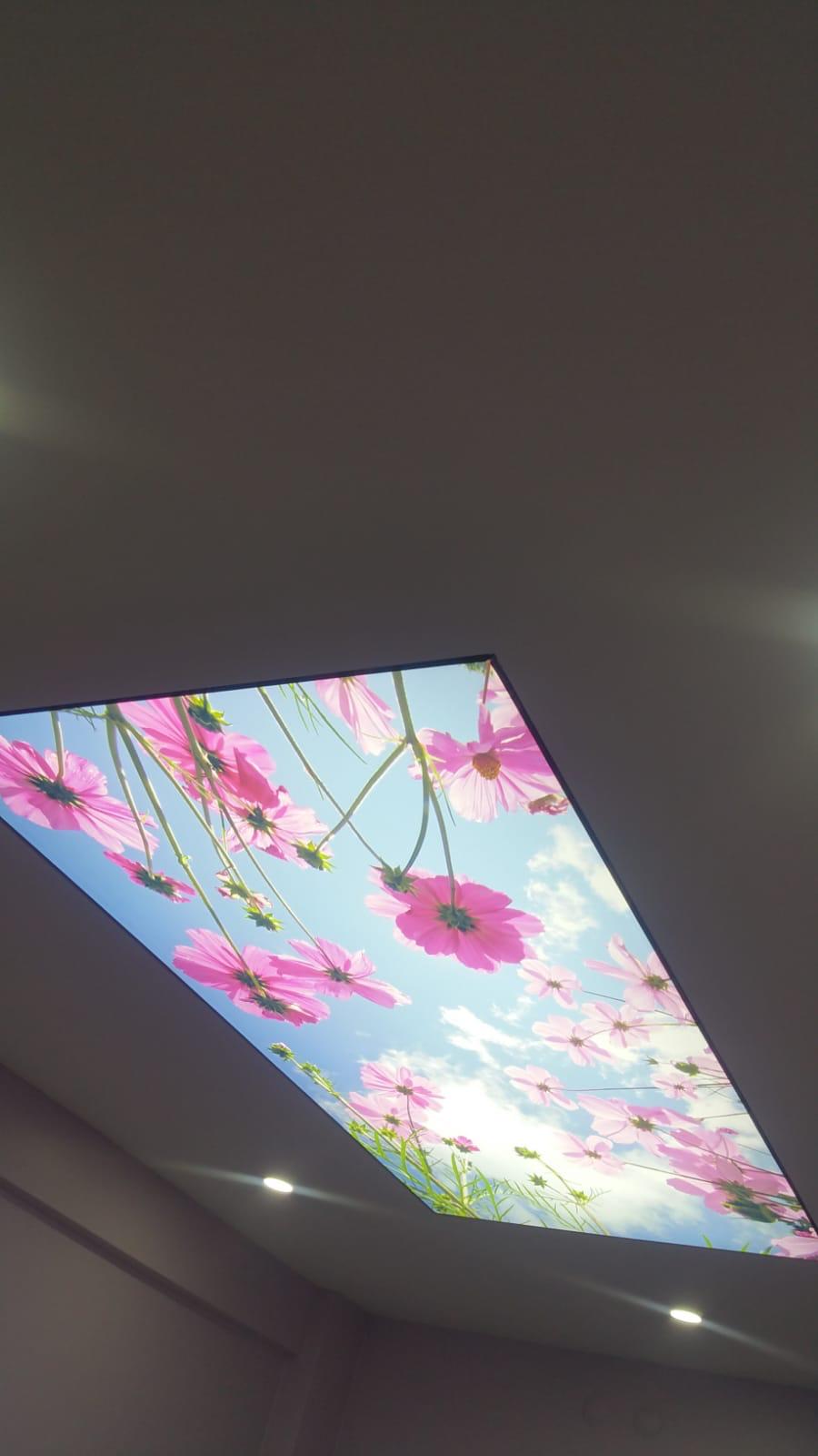 Foto Galeri